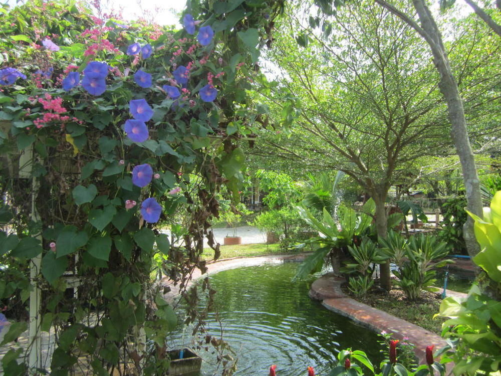 Cowboy Farm Resort Pattaya Ban Huai Yai Luaran gambar